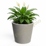 Vaso Conik cinzento redondo com linhas suaves e acabamento elegante, perfeito para decoração de espaços exteriores e interiores.