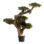 Bonsai Artificial Ficus Maxi (Pers)