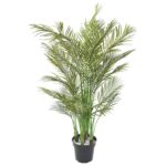 Palmeira Areca Multi Tronco