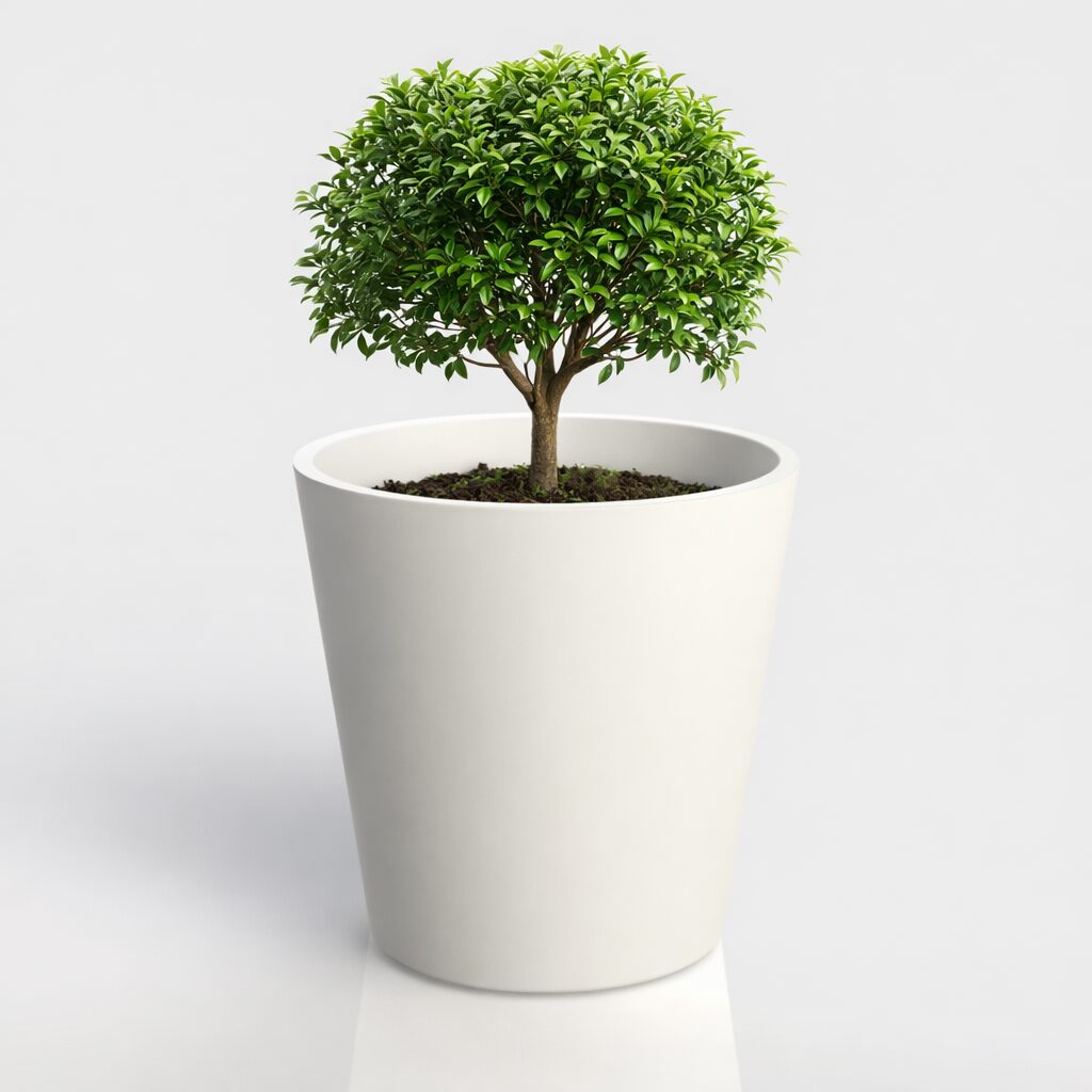 Vaso moderno branco com pequeno árvore ornamental verde vibrante, imagem nítida em fundo neutro que destaca elegância e frescura natural para decoração de interiores e exteriores.